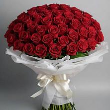 Букет 101 Красная роза Блэк Мэджик в Железнодорожный Подольского района