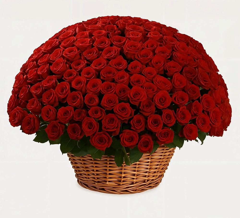 251 Премиум красная роза в Железнодорожный Подольского района Премиум букет из: Розы в Железнодорожный Подольского района