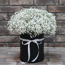 Цветочная композиция из Гипсофила в шляпной коробке #REPLACE_PRED# Железнодорожный Подольского района