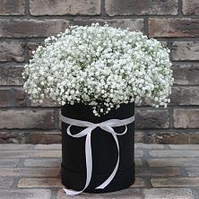 Композиция коробка гипсофил в Железнодорожный Подольского района Цветочная композиция из Гипсофила в шляпной коробке в Железнодорожный Подольского района