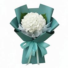 Букет цветов из:  Гортензия в Железнодорожный Подольского района